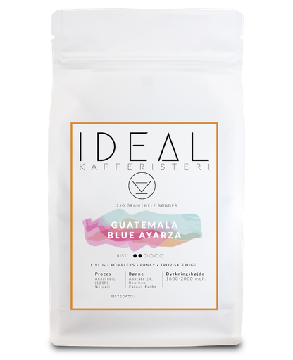 Guatemala Blue Ayarza