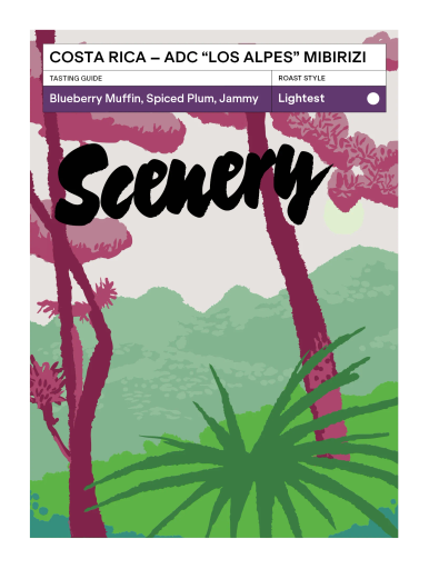 Costa Rica - Aromas del Chirripó "Los Alpes" Mibirizi