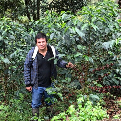 Peru - Finca Los Santos - Red Honey Green Tip Geisha (COE 2023 #10 Farm)