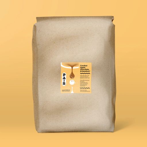 Wash-Processed Coffee Beans from Guatemala