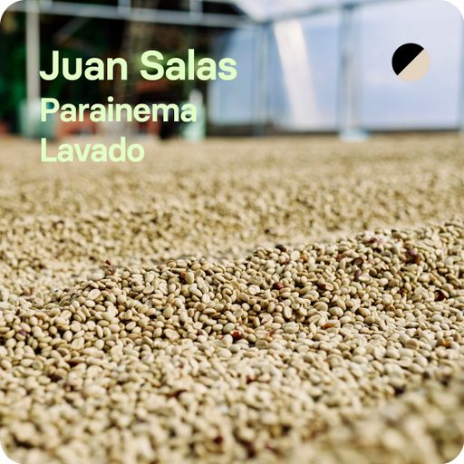 Juan Salas, Costa Rica