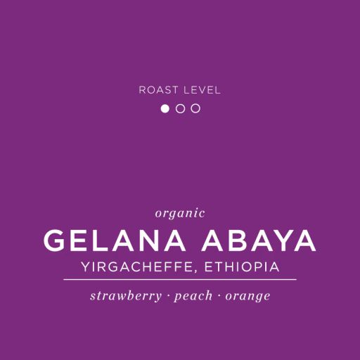 Gelana Abaya - Yirgacheffe, Ethiopia - Organic