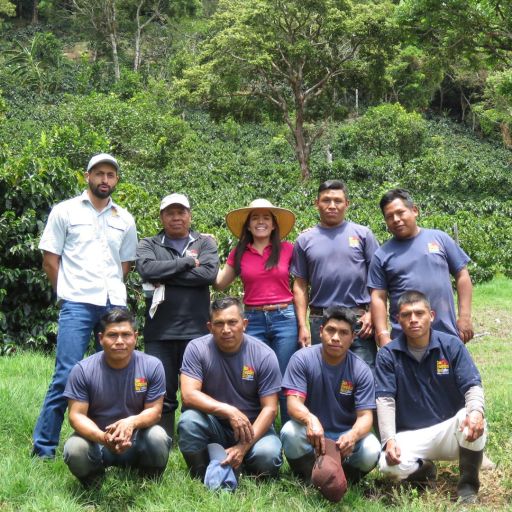 Panama - Hacienda Barbara - Washed Geisha