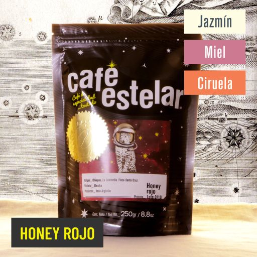 Café Chiapas - Finca Santa Cruz - Gesha - Honey Rojo - 0119