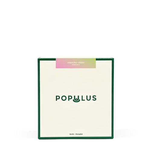 Honduras - Arturo Paz Geisha