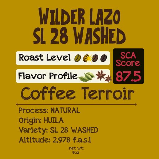 Wilder Lazo SL 28 Lavado