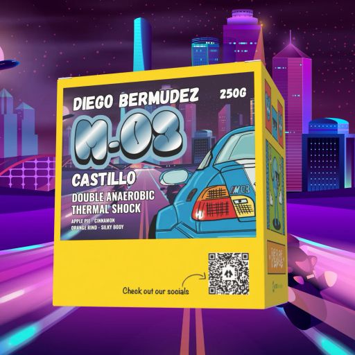 M-03 Castillo - Diego Bermudez