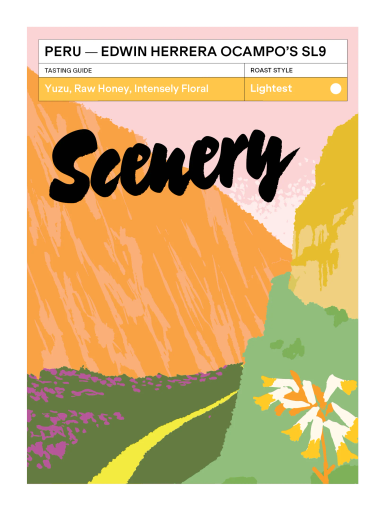 Peru - Edwin Herrera Ocampo's SL9