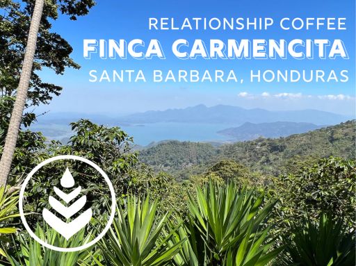 FINCA CARMENCITA