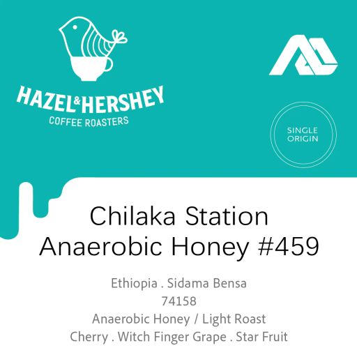 Ethiopia Alo Village Chilaka Station Anaerobic Honey #459