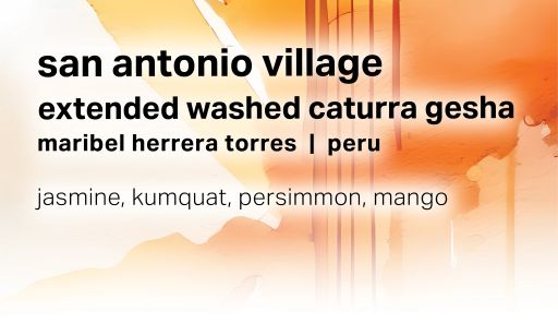 Maribel Herrera Torres San Antonio Village - Extended Washed Caturra Gesha