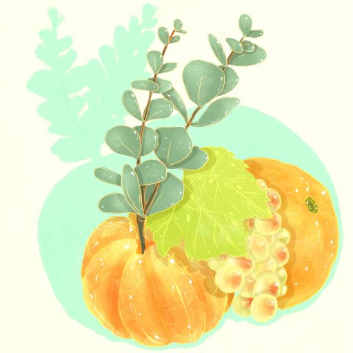 Typica Mejorado - Washed - Hacienda La Papaya