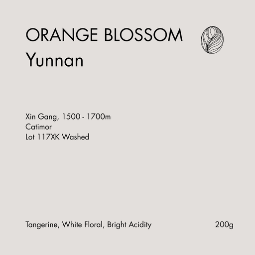 Orange Blossom Yunnan Xingang