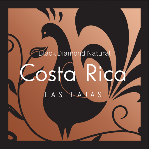 Costa Rica Las Lajas