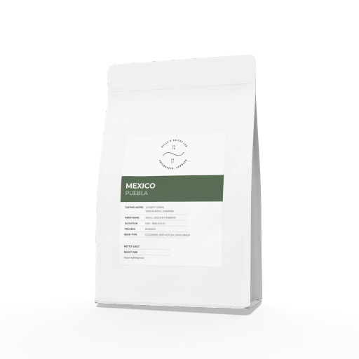 Mexico Seleccion Puebla