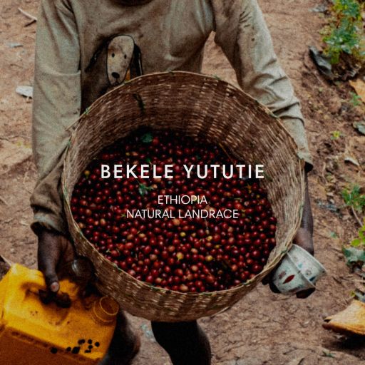 BEKELE YUTUTIE