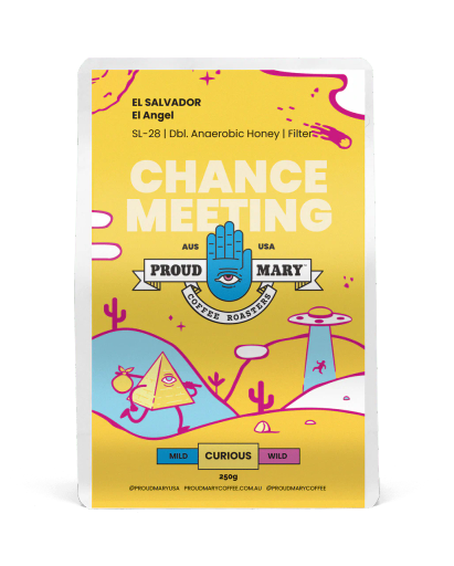 El Salvador El Angel SL-28 Double Anaerobic Honey