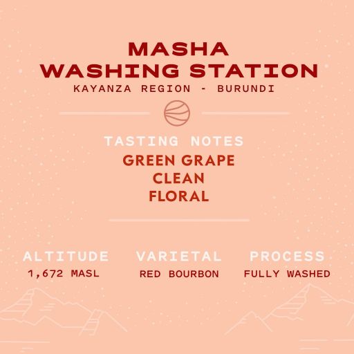 Masha Washing Station