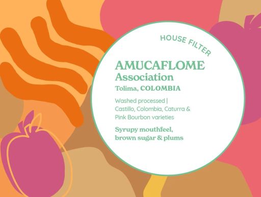 HOUSE FILTER | AMUCAFLOME Association | Colombia