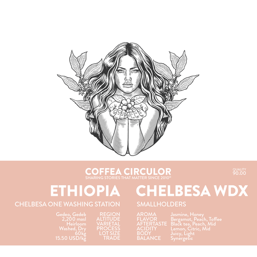 ETHIOPIA Chelbesa Washed Dry WDX