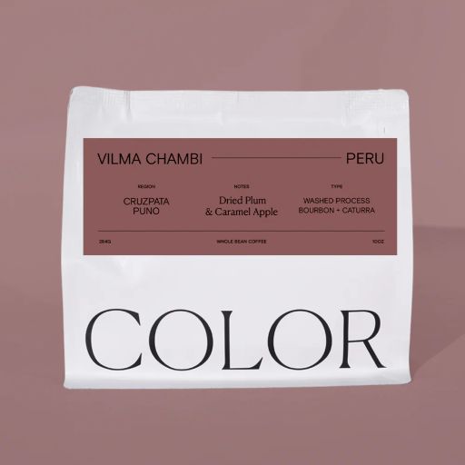Peru Puno Vilma Chambi
