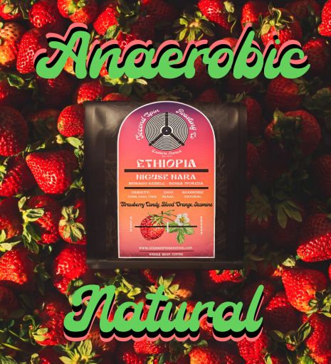 Ethiopia - Niguse Nara - Murago Kebele - 56hr Extended Anaerobic Natural