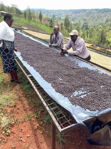 Rutama Cooperative natural sleeping bag Lot