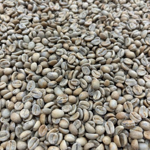 COE Peru #20 La Rinconada - Anaerobic Washed Geisha