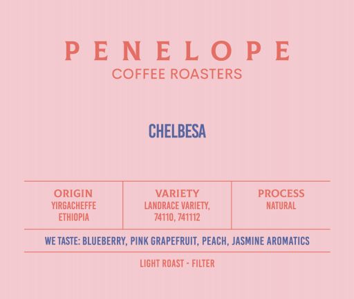 Ethiopia Natural Filter