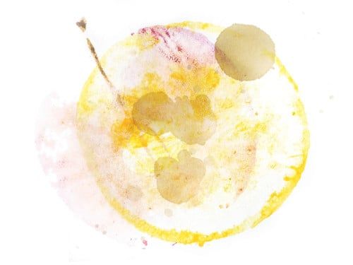 Mexico Cafeólogo Marsellesa