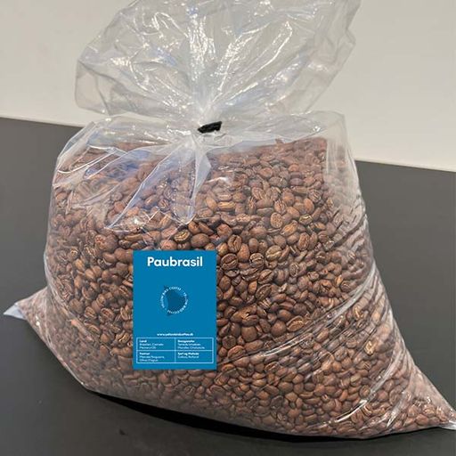 Paubrasil