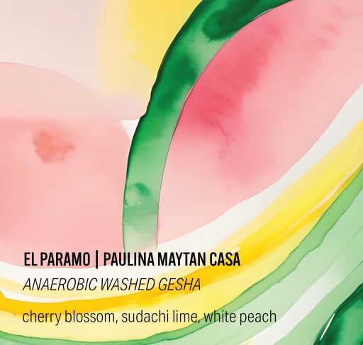 Paulina Maytan Casa Inkawasi #6 - Anaerobic Washed Geisha