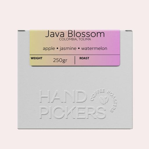 Fellow Exotics, Colombia