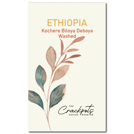 Ethiopia Kochere Biloya Deboya Washed