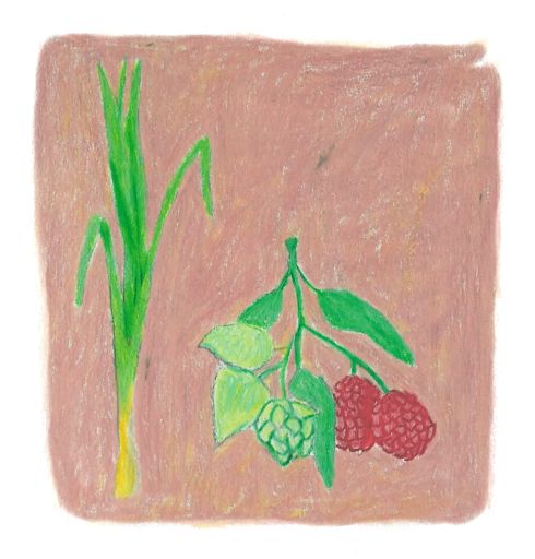 Sebastian Ramirez Session IPA