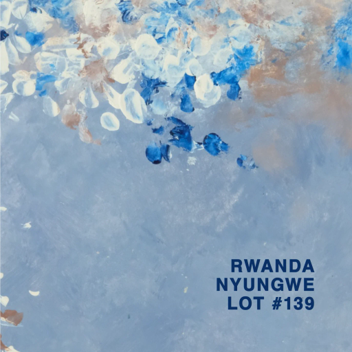 Rwanda Nyungwe Halo Lot #139