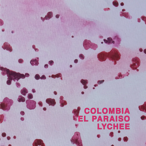 Colombia El Paraiso Lychee