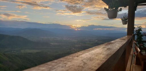 Colombia La Loma Caturra