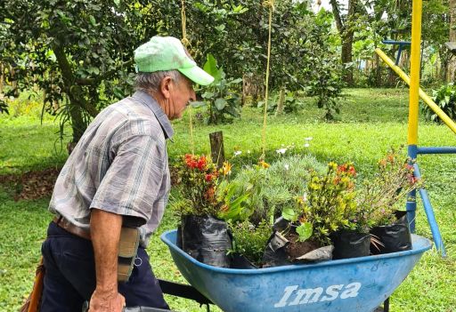 Colombia Roble Negro Wush Wush Honey