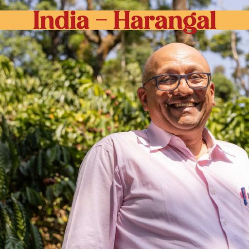 India - Harangal