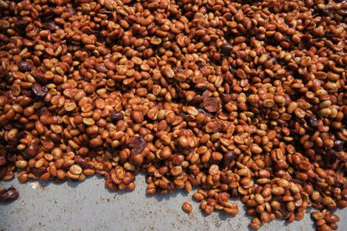 Finca Las Lajas, Costa Rica - Honey SL28