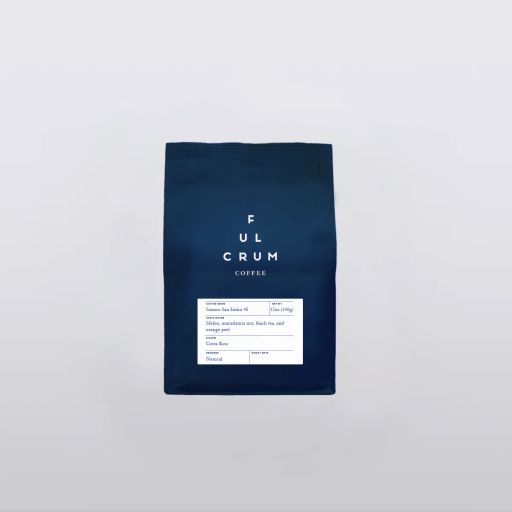 Costa Rica Sonora San Isidro 48