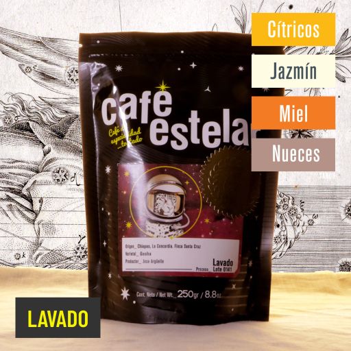 Café Chiapas - Finca Santa Cruz - Gesha - Lavado - 0141