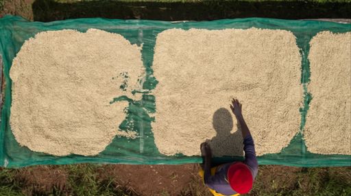 Ibisi Mountain Hills