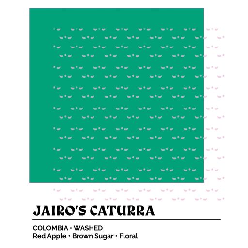 Epoch 9 - Jairo's Caturra