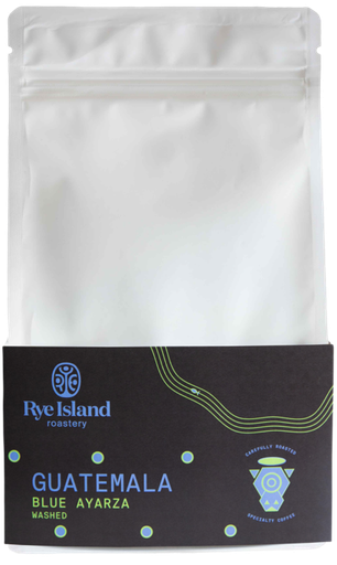 Guatemala Blue Ayarza