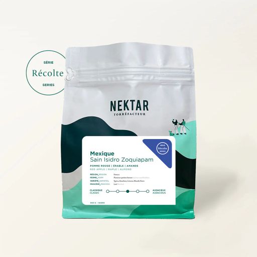 Mexico - San Isidro Zoquiapam