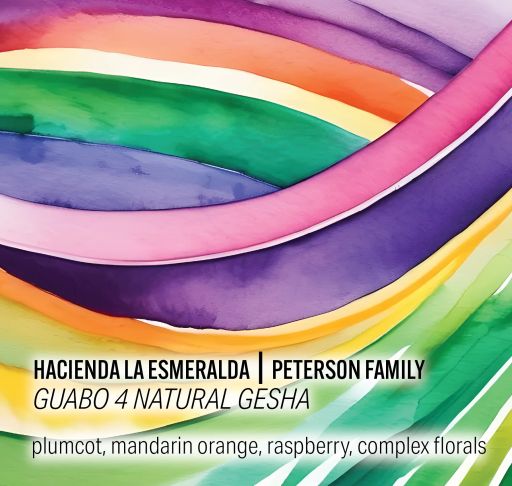 Hacienda La Esmeralda - Guabo 4 Natural Gesha