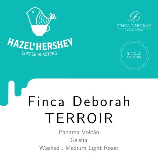 Panama Finca Deborah Terroir Geisha