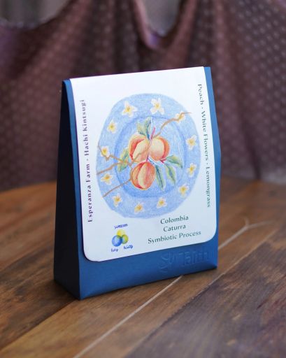 Hachi Kintsugi • Symbiotic Process • Caturra • Colombia